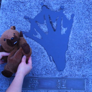 巨大ビーバーの足跡