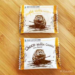 ビーバー会議のおみやげ