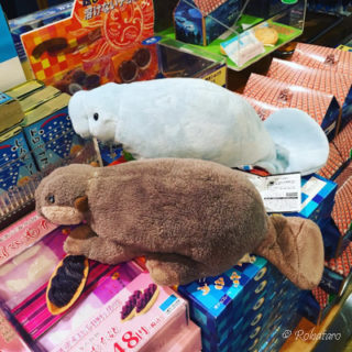 あつしとマナティ