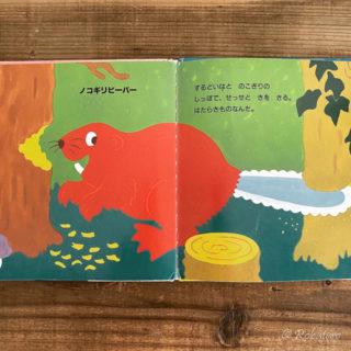 新種のビーバー発見！