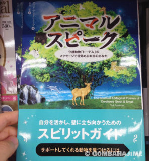 ビーバースピーク