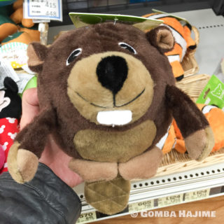 ビーバーボールくん