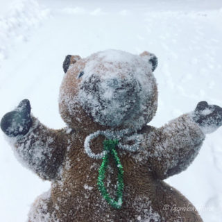 雪の中でコケるとね・・・