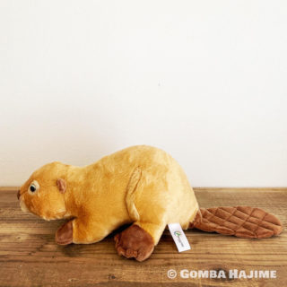 弟紹介・キャラメルくん