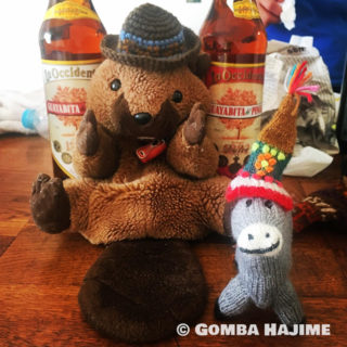 ロバ太郎がウチに来た日