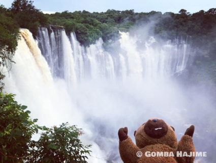 アフリカで二番目に大きい滝！