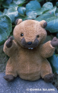 若かりしおいら