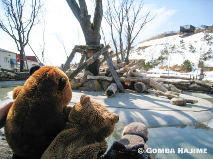 那須どうぶつ王国