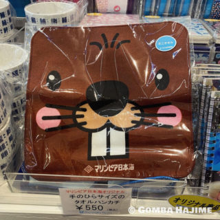 2024年2月のマリンピア日本海のおみやげ！