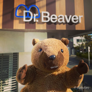 鎌倉のドクタービーバー