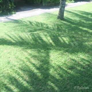 2016 インドネシア