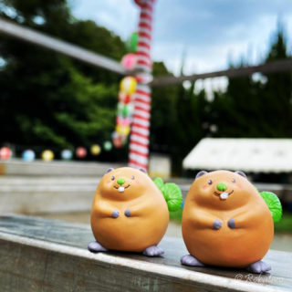 弟紹介！ワサビーバーズ！