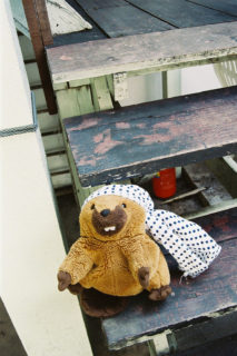 豆絞りの似合う男！