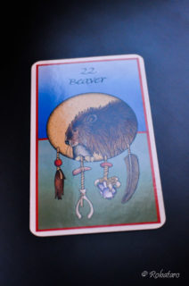 Medicine Cardsのビーバーくん