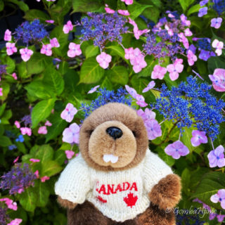 弟紹介・カネダくん