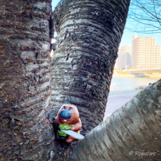 弟紹介・ドンくん