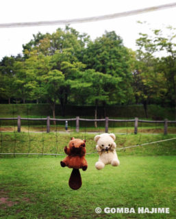 ブローーック！からの…