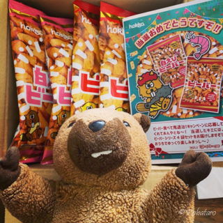 ビーバー当選したよ！