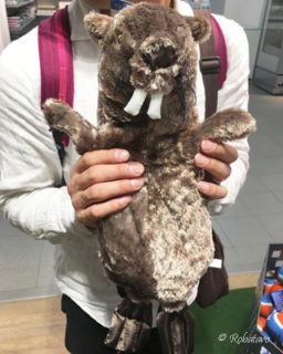 ラゴミそっくりさん！